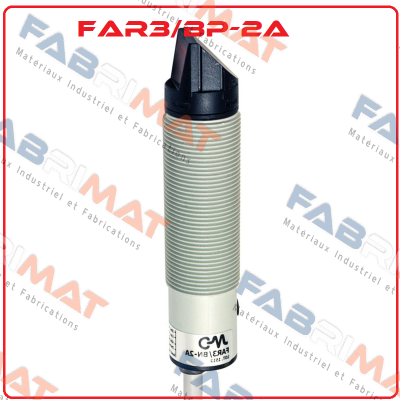 FAR3/BP-2A Micro Detectors / Diell (now Datasensing)