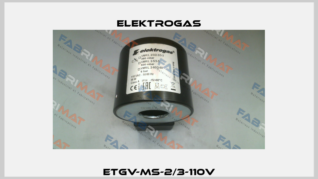 ETGV-MS-2/3-110V Elektrogas