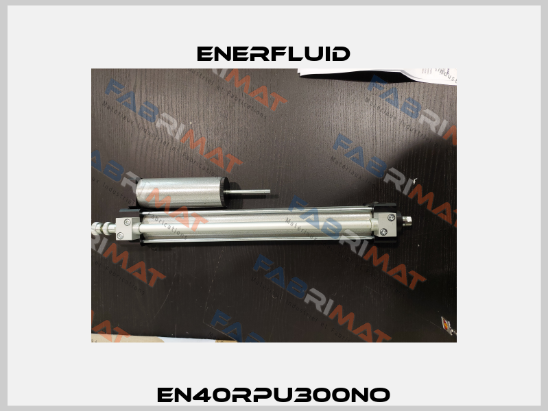 EN40RPU300NO Enerfluid