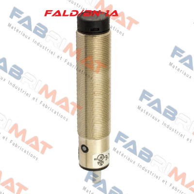FALD/BN-1A Micro Detectors / Diell (now Datasensing)