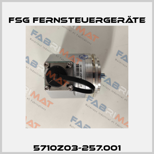 5710Z03-257.001 FSG Fernsteuergeräte