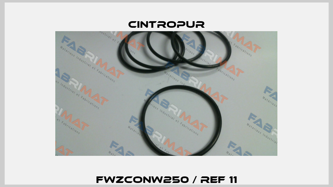 FWZCONW250 / Ref 11 Cintropur