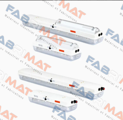 FL-0866 2X36W-1-B CZ Explosion-proof