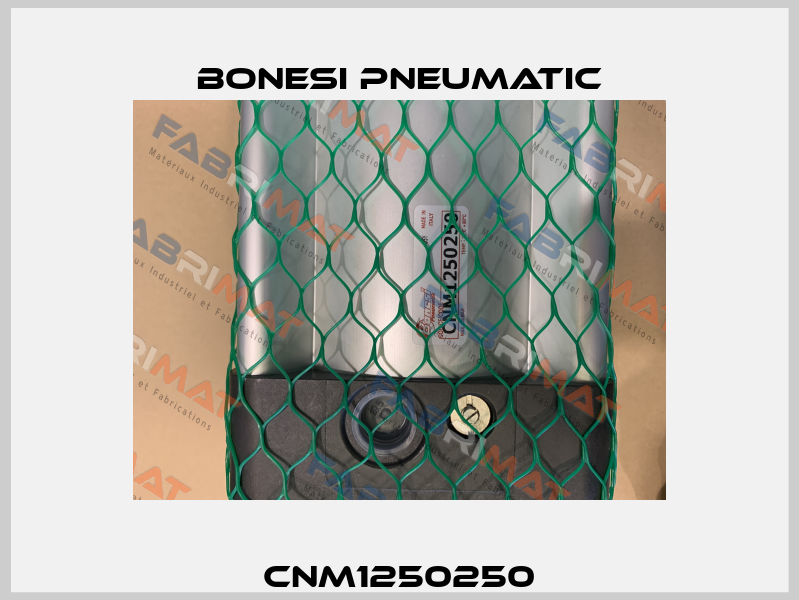 CNM1250250 Bonesi Pneumatic