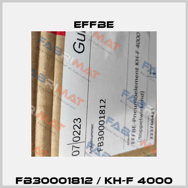 FB30001812 / KH-F 4000 Effbe