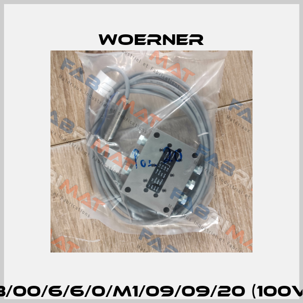 VPB-B/00/6/6/0/M1/09/09/20 (100VPB-B) Woerner