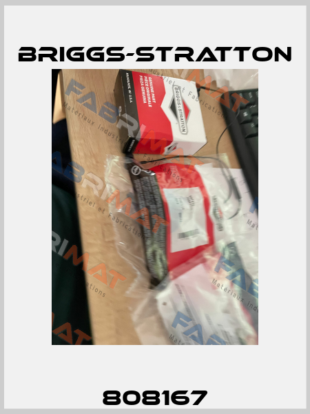 808167 Briggs-Stratton
