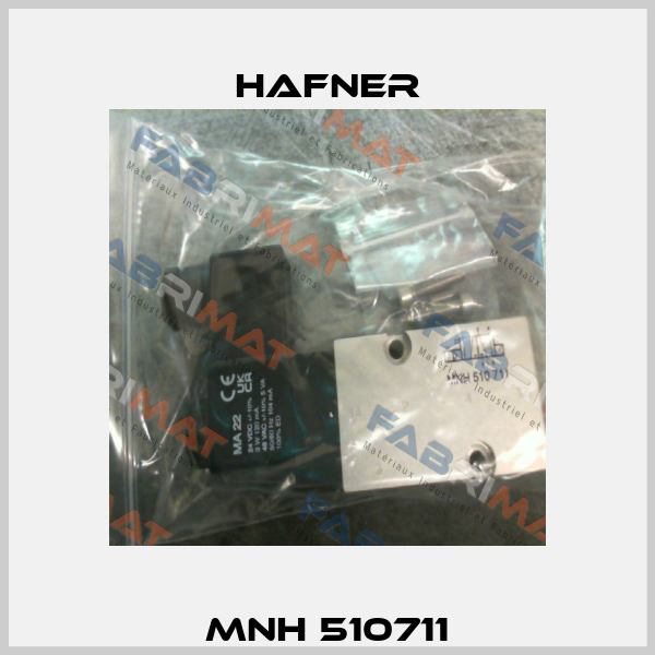MNH 510711 Hafner