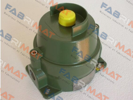 EURO366G-D0-W2-H-FX-F Robertshaw