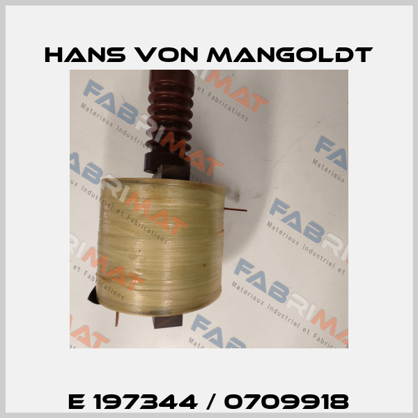 E 197344 / 0709918 Hans von Mangoldt