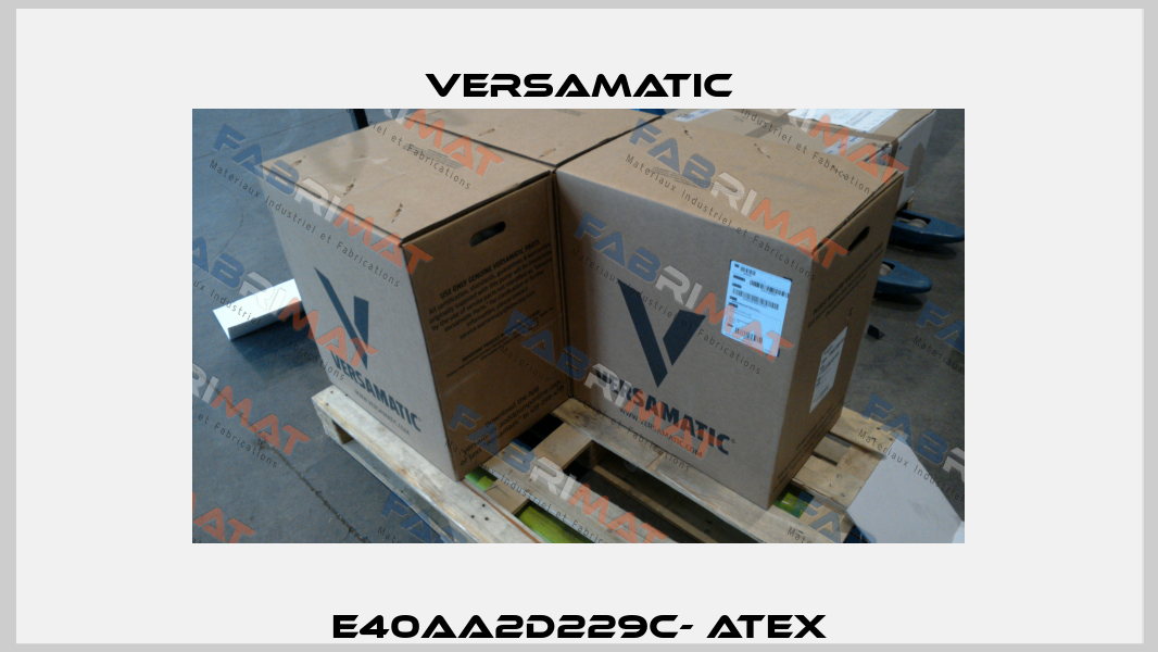 E40AA2D229C- ATEX VersaMatic