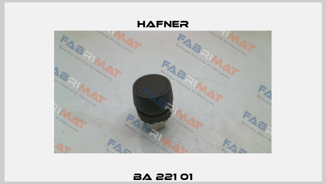 BA 221 01 Hafner