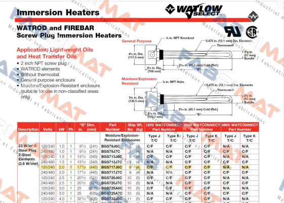 BGS717J6C Watlow