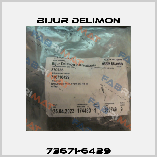 73671-6429 Bijur Delimon