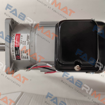 J220V18-300-21.4-A (A012) G3 Luyang Gear Motor