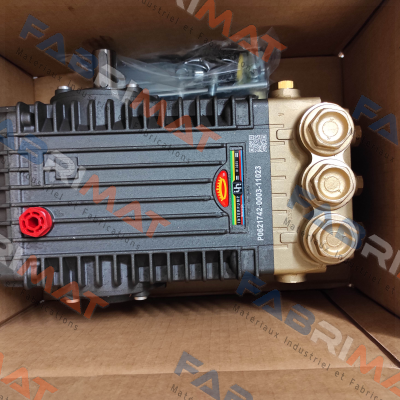 M42001353 / Serie 66 Type W 3025 Interpump
