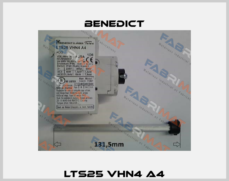 LTS25 VHN4 A4 Benedict