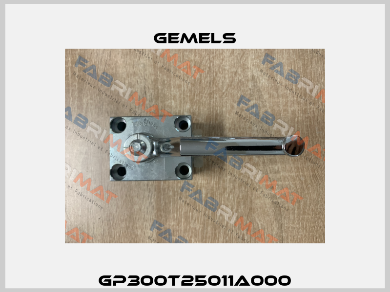 GP300T25011A000 Gemels