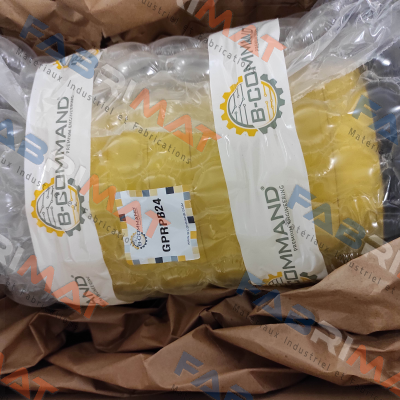 GPRPB24 Ravioli