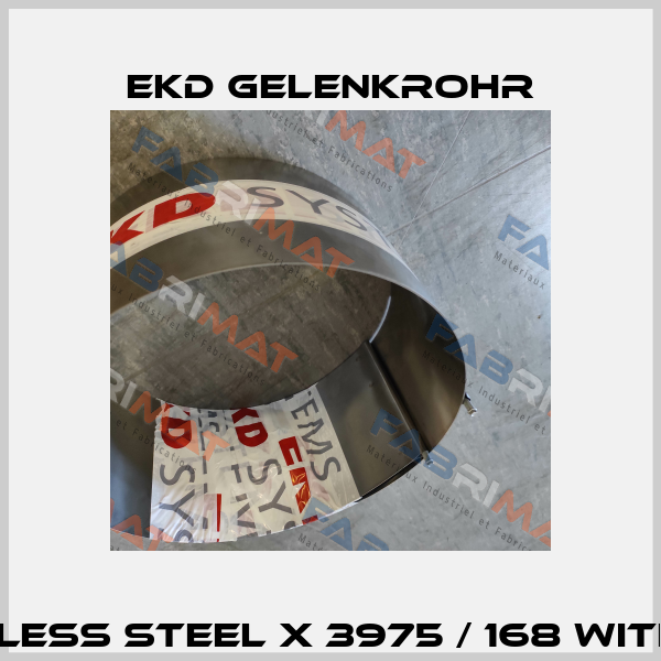 Cover inside stainless steel x 3975 / 168 with 53 band holders Ekd Gelenkrohr