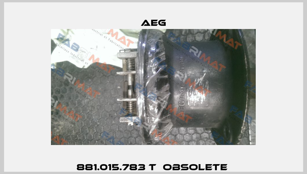 881.015.783 T  Obsolete  AEG