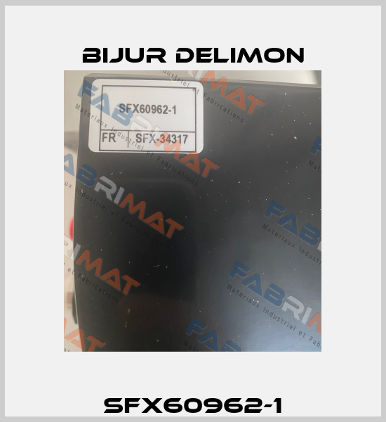 SFX60962-1 Bijur Delimon