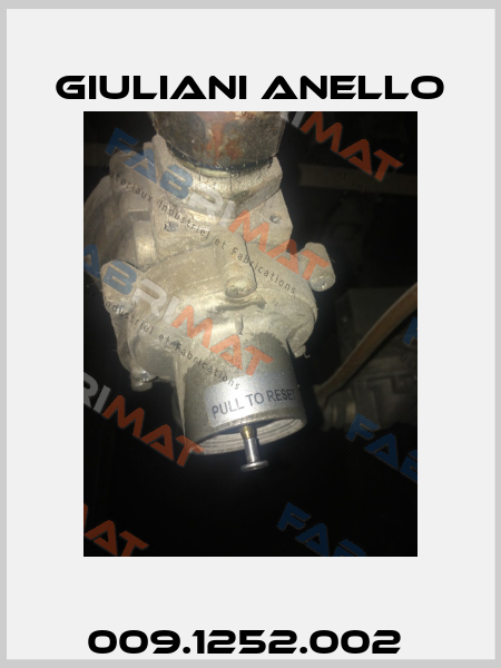 009.1252.002  Giuliani Anello