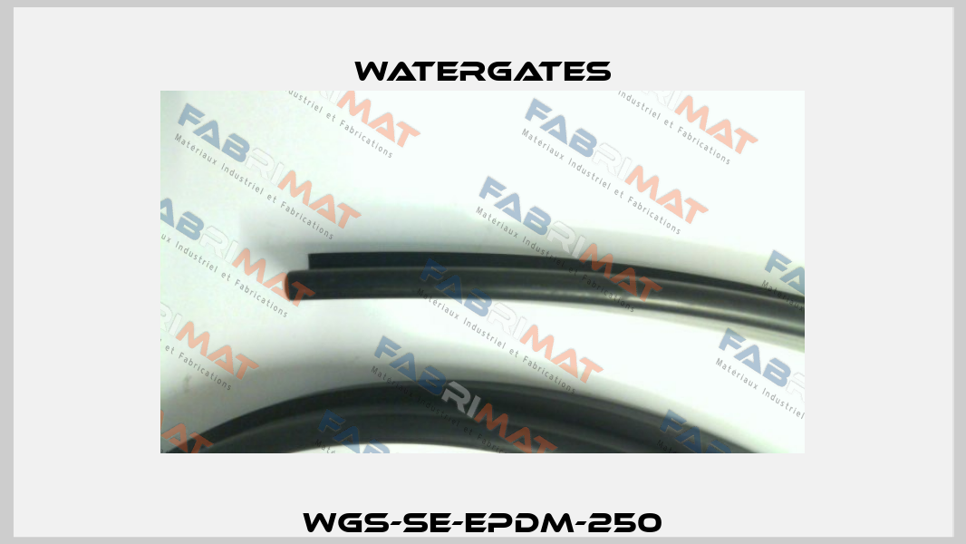 WGS-SE-EPDM-250 Watergates