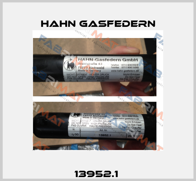 13952.1  Hahn Gasfedern