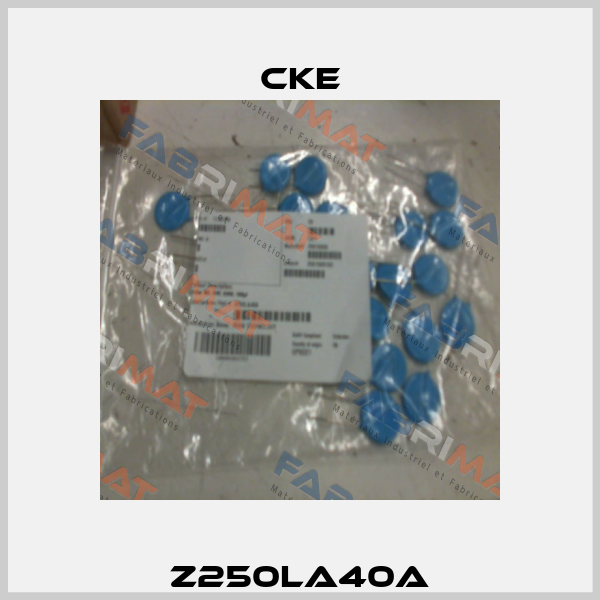 Z250LA40A CKE