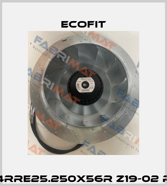 4RRE25.250X56R Z19-02 P Ecofit