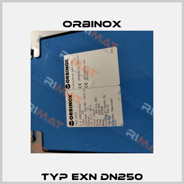 Typ EXN DN250 Orbinox