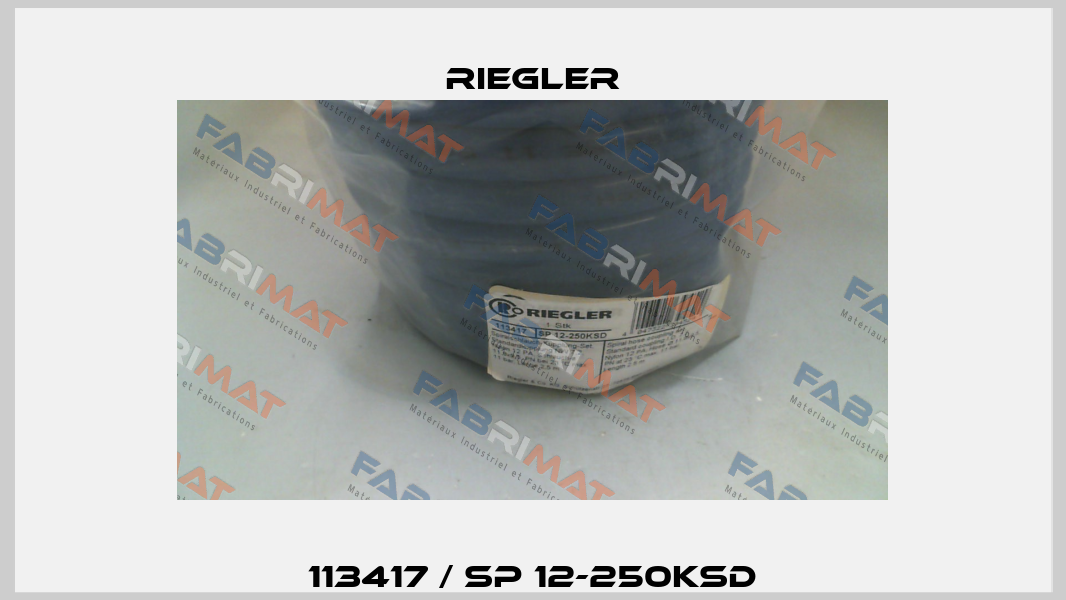 113417 / SP 12-250KSD Riegler