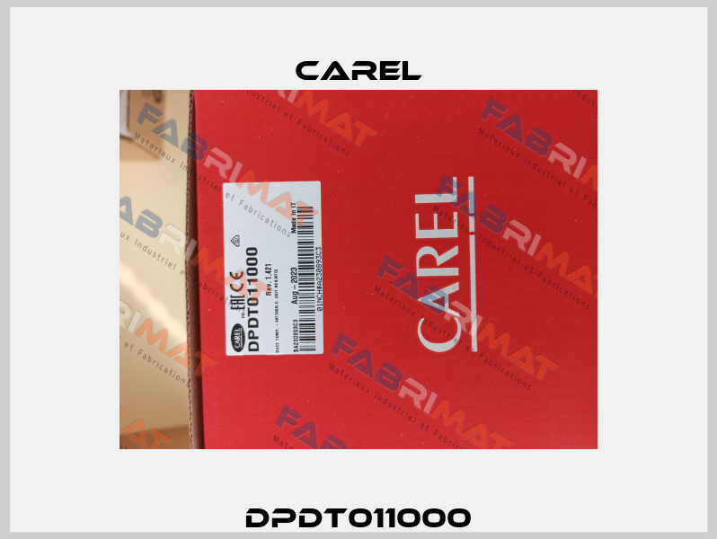 DPDT011000 Carel