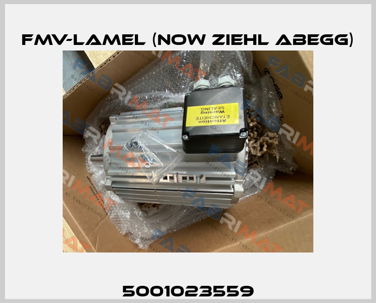 5001023559 FMV-Lamel (now Ziehl Abegg)