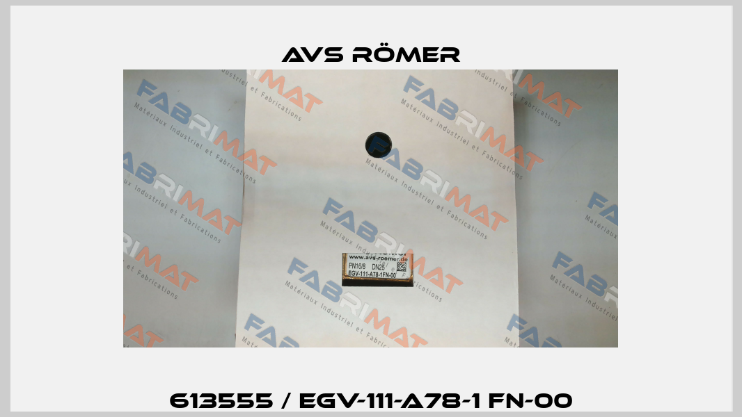 613555 / EGV-111-A78-1 FN-00 Avs Römer