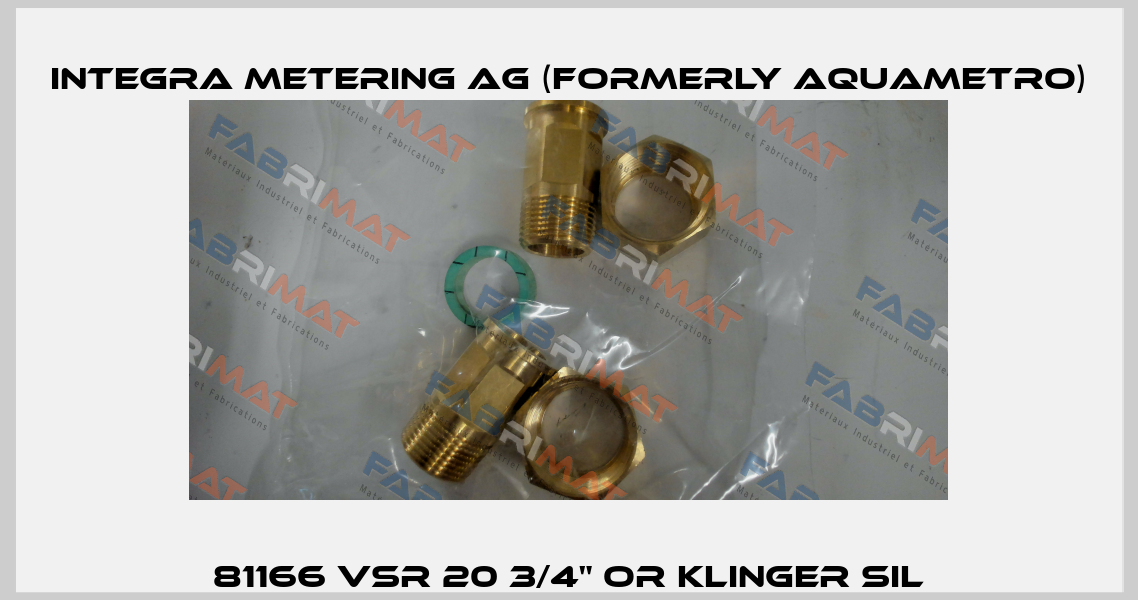 81166 VSR 20 3/4" OR KLINGER SIL Integra Metering AG (formerly Aquametro)