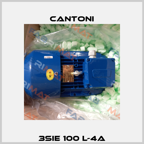3SIE 100 L-4A Cantoni