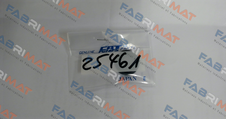 25461 - SEAL, OIL, NBR Cat Pumps